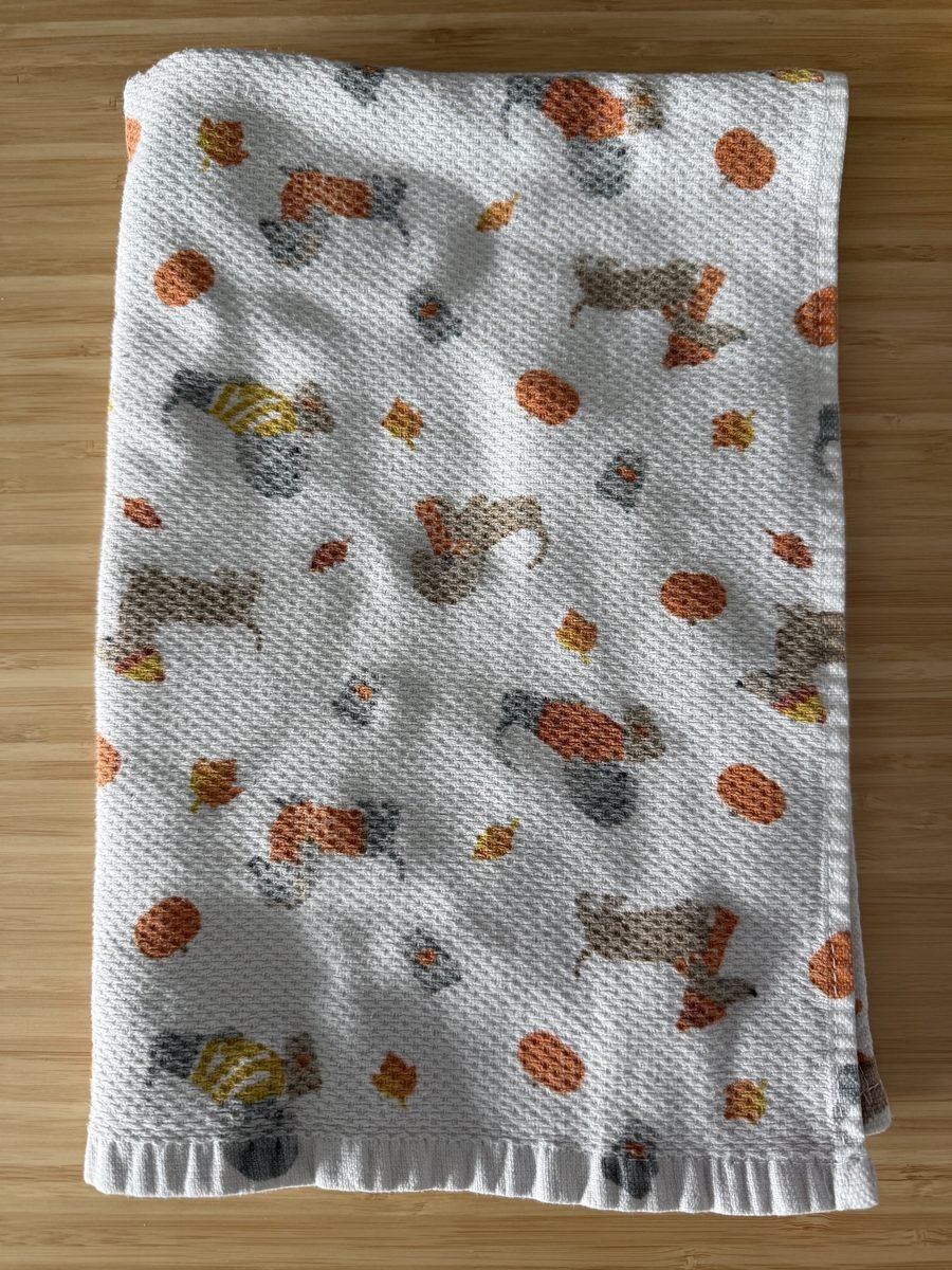 The kitchen towel I shot the demos on.